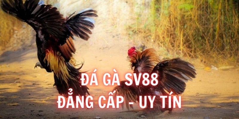 da-ga-sv88-dang-cap-uy-tin