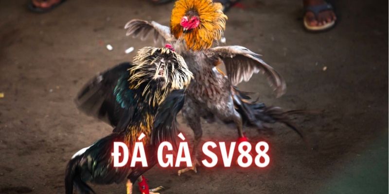 da-ga-sv88
